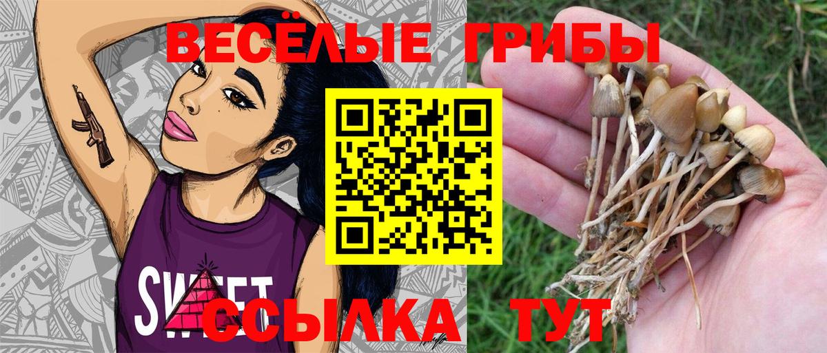 Реж  Галлюциногенные грибы GOLDEN TEACHER  Вход с VPN  Галлюциногенные грибы GOLDEN TEACHER 
