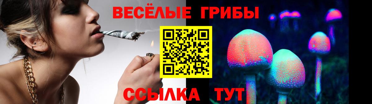 Галлюциногенные грибы ЛСД Реж